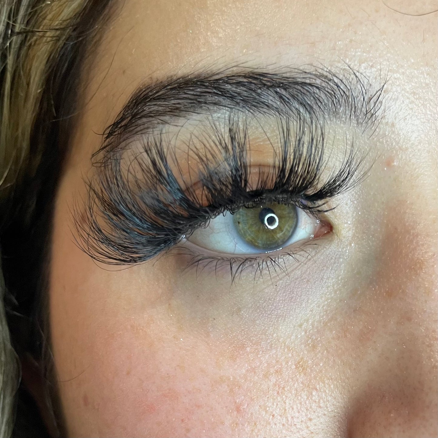 Dramalicious Lash