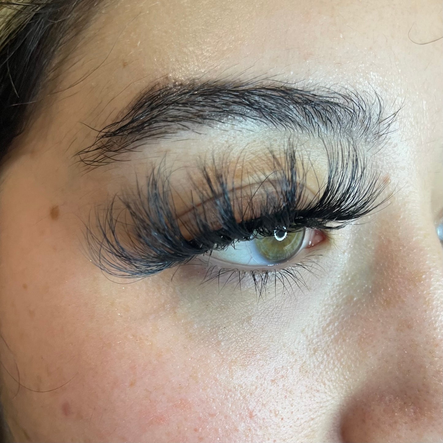 Dramalicious Lash